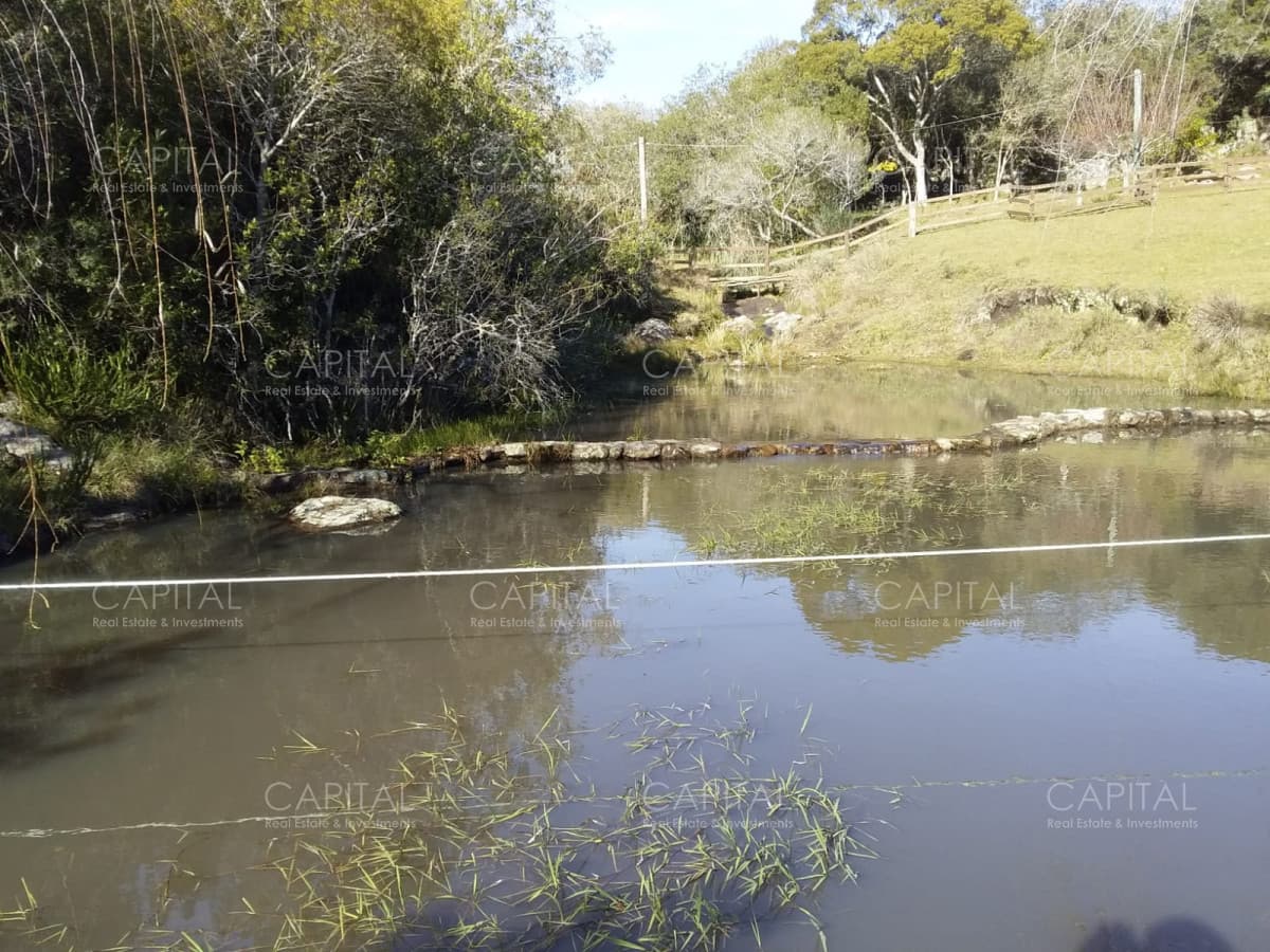Chacra en Ruta 39, en venta