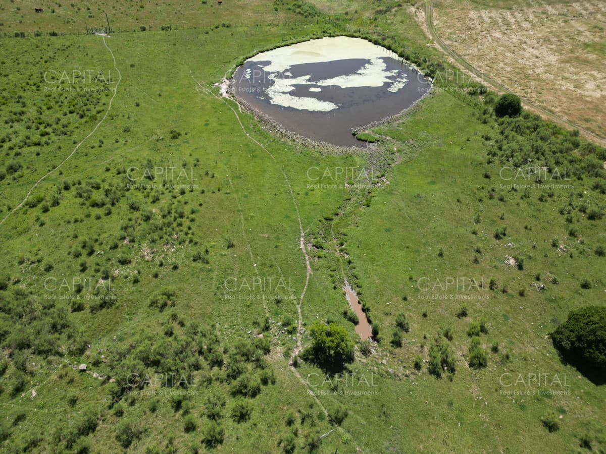 ESPECTACULAR CAMPO DE 124 has . LAGUNA DEL SAUCE