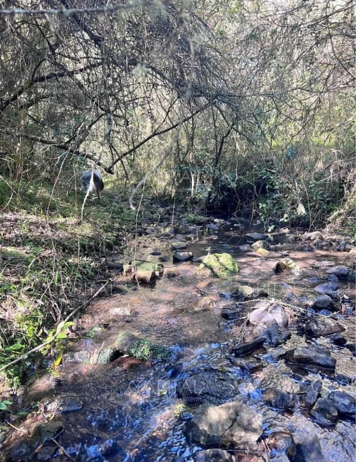 Campo Garzón Ganadero Forestal