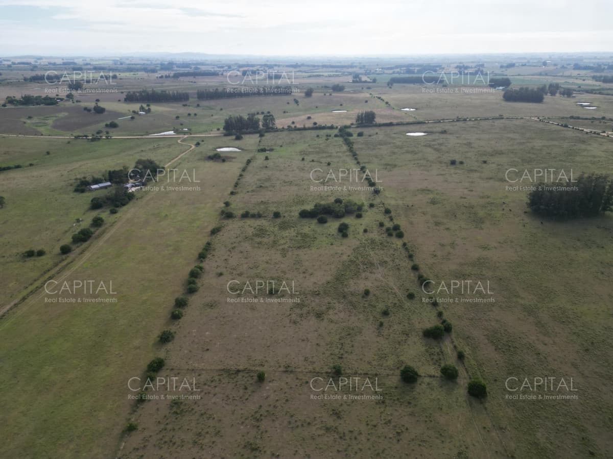 Campo de 23 has zona Abras de Perdomo
