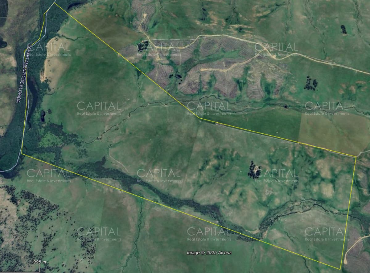 EN EXCLUISVA CAMPO EN VENTA GANADERO con potencial FORESTAL 390 has