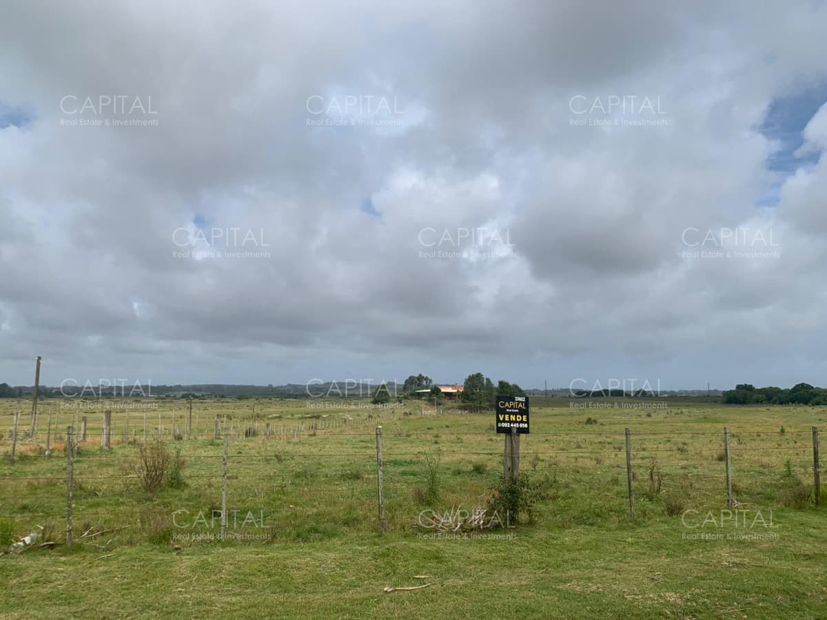 Chacra en Venta  Ruta 39 Maldonado