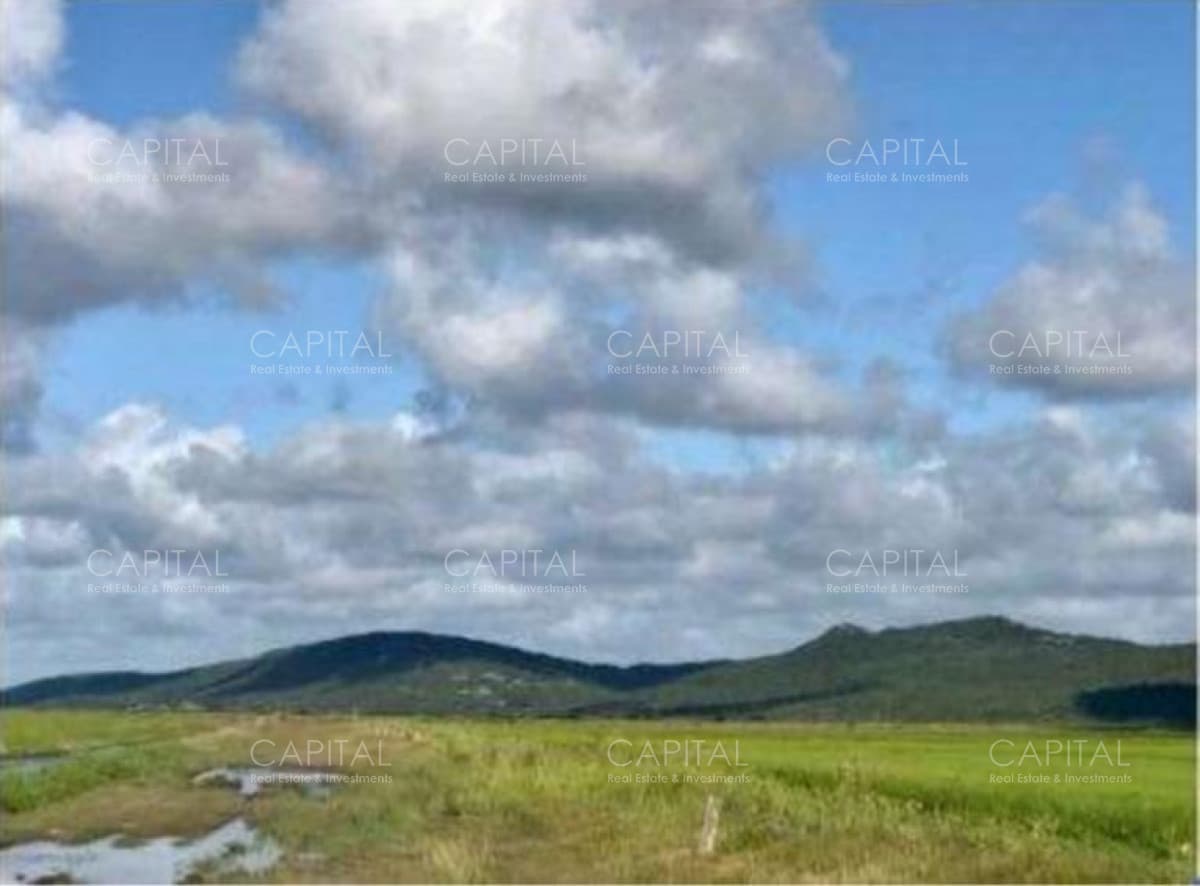 Campo agrícola-ganadero Rocha