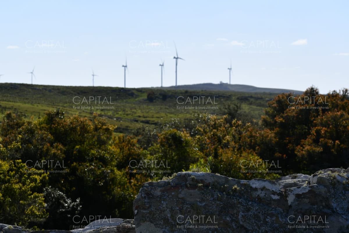 Campo 78has. ganadero-turístico Ruta 60