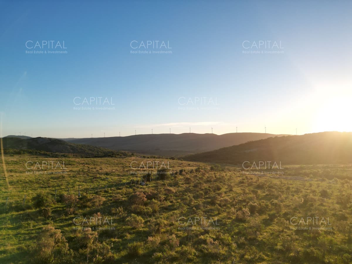 Pintoresco Campo 55 Has - Sierra de los Caracoles