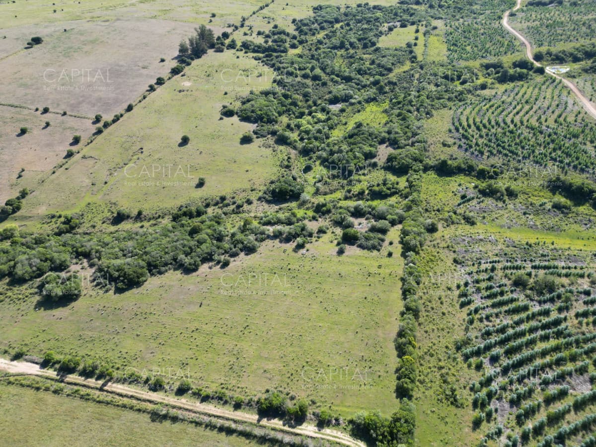 Campo en venta Pueblo Edén 69 has