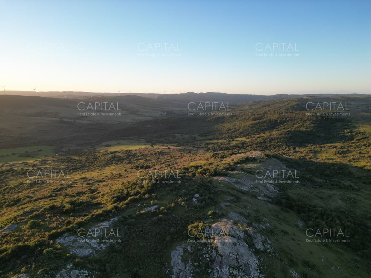 Pintoresco Campo 55 Has - Sierra de los Caracoles