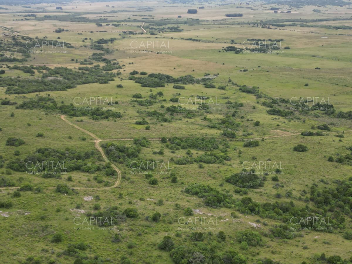 OPOTUNIDAD CAMPO 150 HAS costas del Aiguá