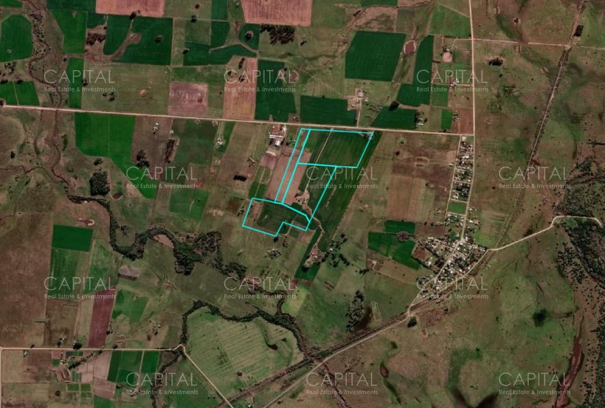 Campo agrícola Canelones