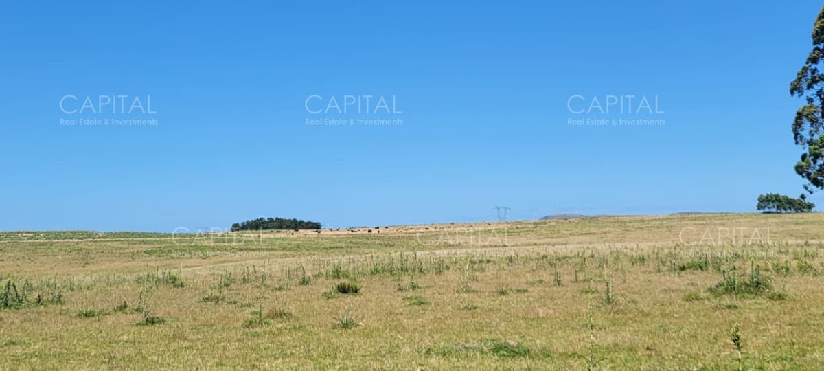 Campo 57 has a 1,5km de ruta 39
