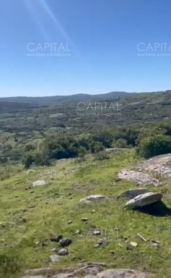 Campo Garzón Ganadero Forestal