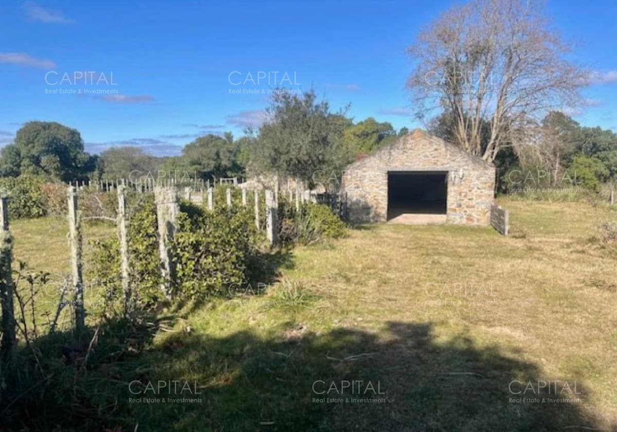 Campo 80 has - Valdivias