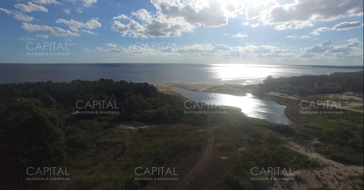 Campo de 174 has Sobre el Rio de La Plata en Venta