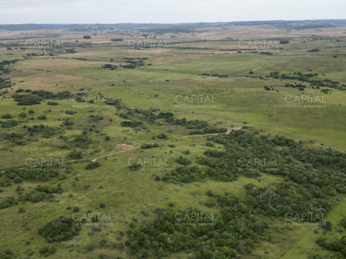 OPOTUNIDAD CAMPO 150 HAS costas del Aiguá