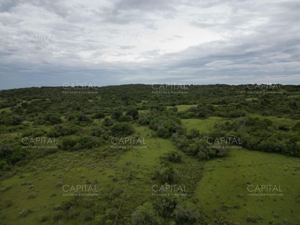 OPOTUNIDAD CAMPO 150 HAS costas del Aiguá