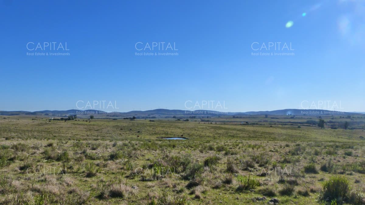 Campo ganadero a 20km de San Carlos