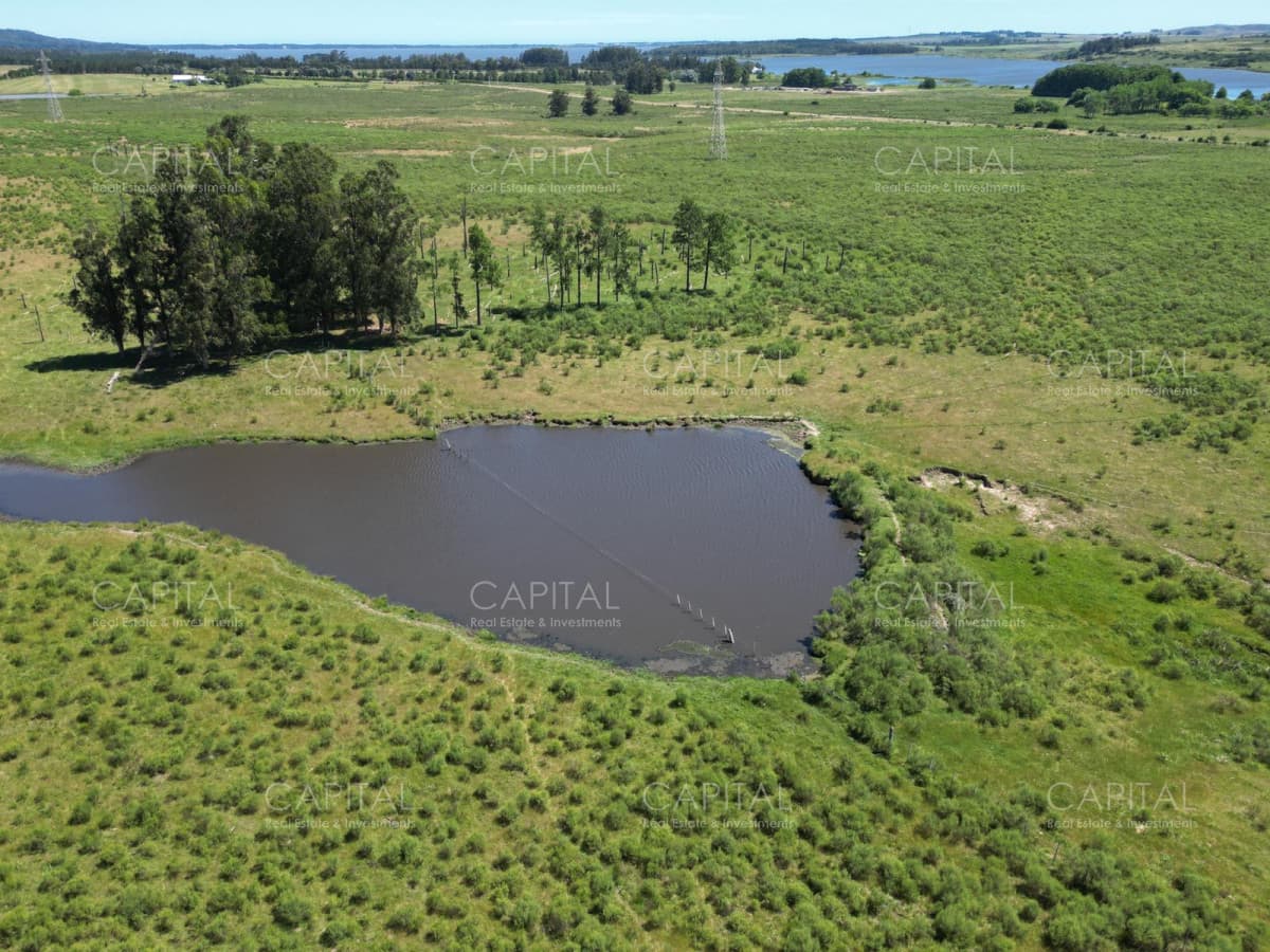 Campo en venta en Laguna del Sauce, Punta del Este