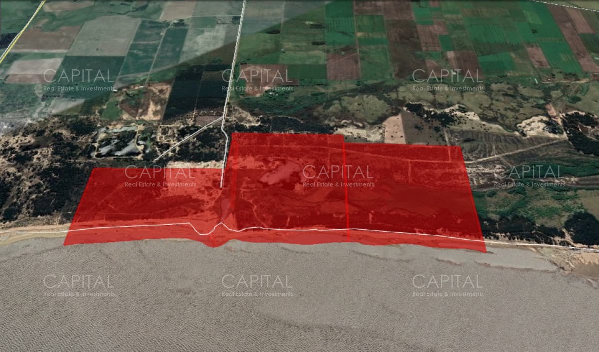 Campo de 174 has Sobre el Rio de La Plata en Venta