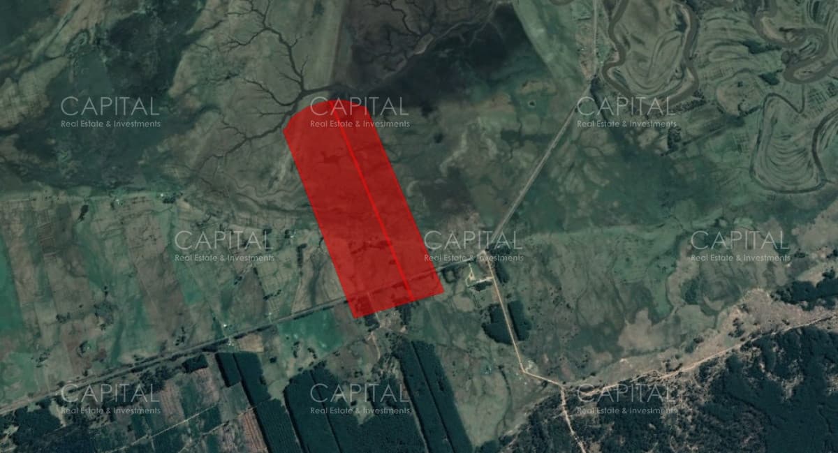 Campo en venta de 60 has en Rocha