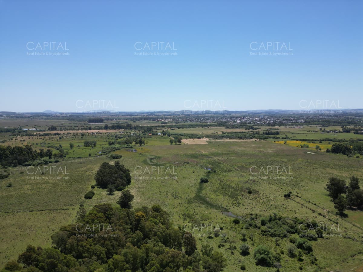 Campo  87 has , Ideal para fraccionamiento de chacras