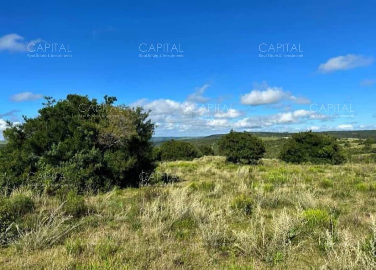 OPOTUNIDAD CAMPO 150 HAS costas del Aiguá