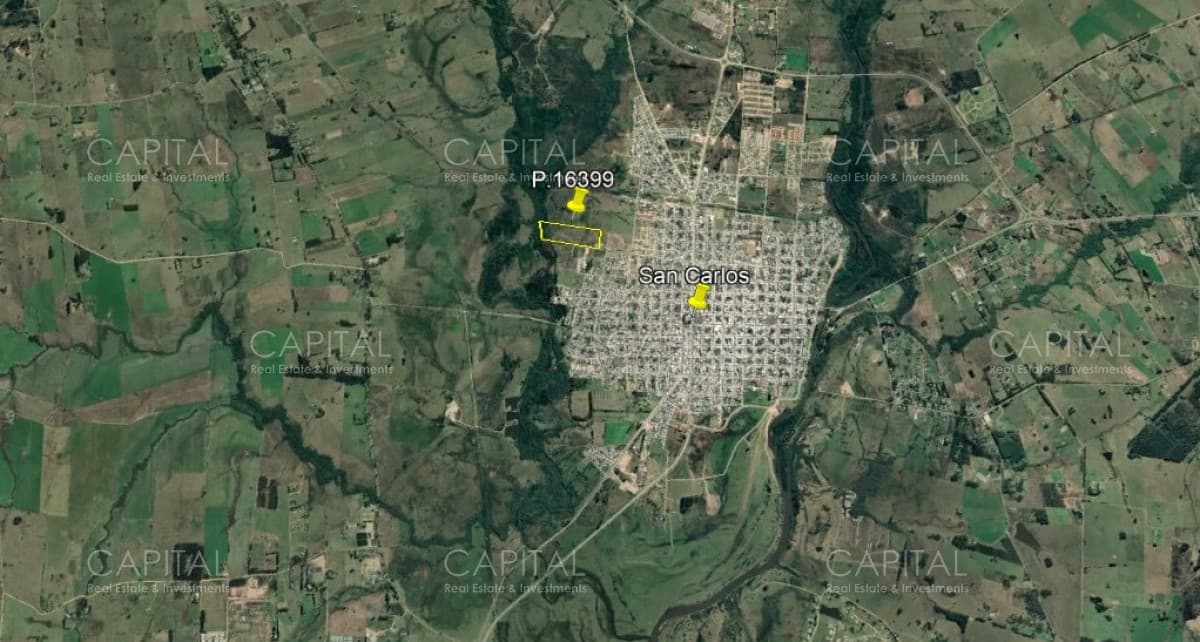 Campo en Maldonado en Venta