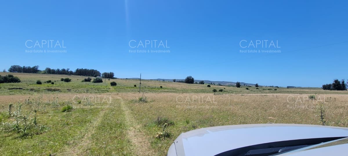 Campo 57 has a 1,5km de ruta 39