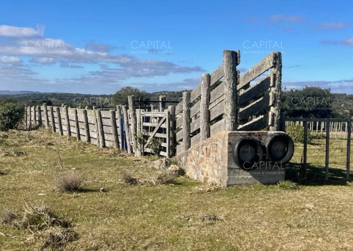 Campo 80 has - Valdivias