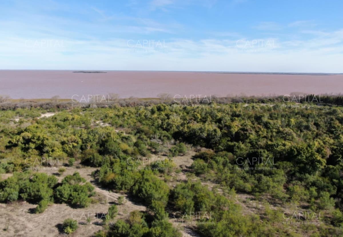 Campo sobre el Mar en Carmelo
