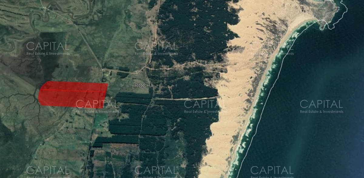 Campo en venta de 60 has en Rocha