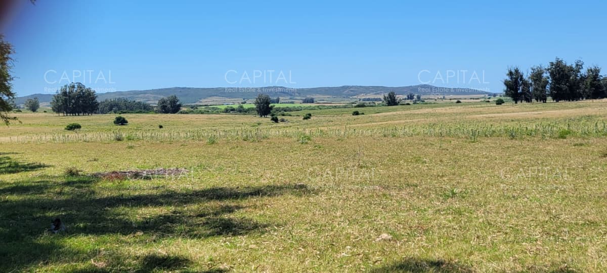 Campo 57 has a 1,5km de ruta 39