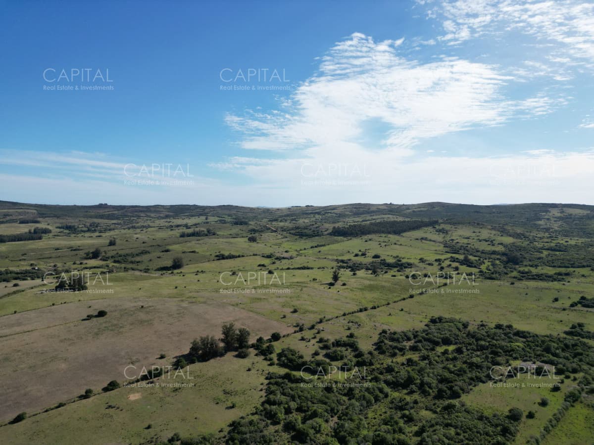 Campo en venta Pueblo Edén 69 has