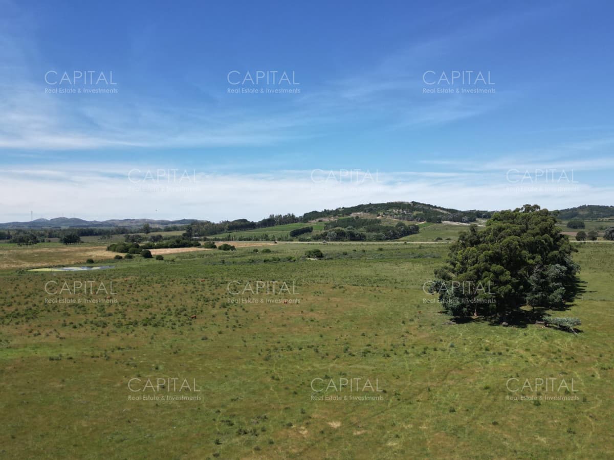 Campo en venta en Laguna del Sauce, Punta del Este