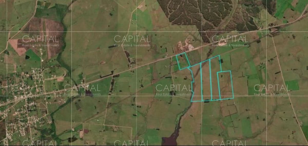 Campo ganadero - agrícola , 122has -  Treinta y tres - en exclusividad