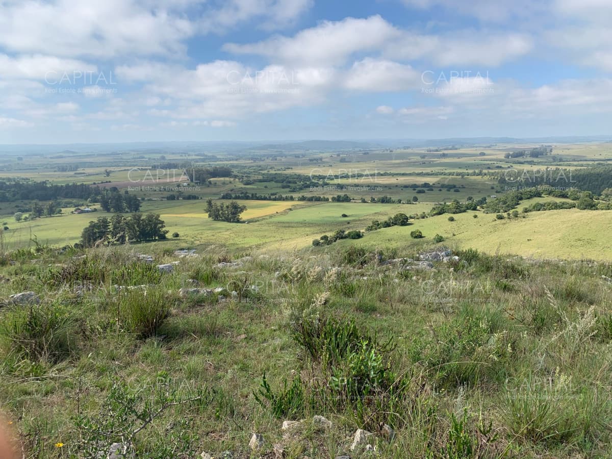 Campo 39 has. próximo a Aiguá