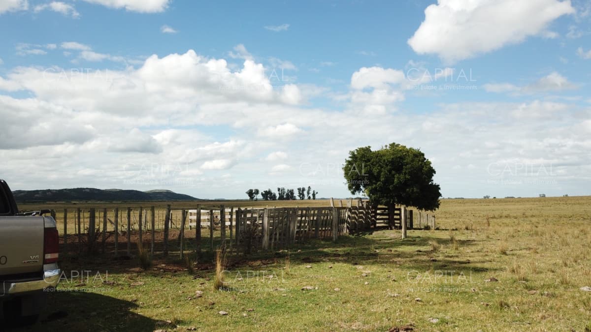 Campo Ganadero en Venta de 270 has en Aigua