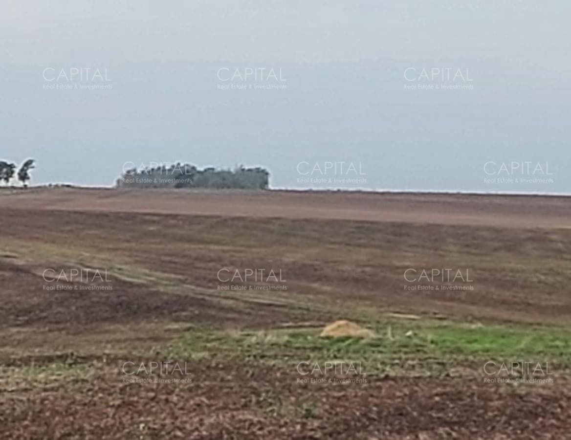 FLORES 500 Has Buen campo agrícola