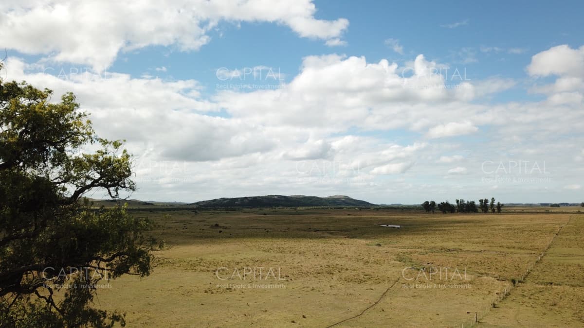 Campo Ganadero en Venta de 270 has en Aigua