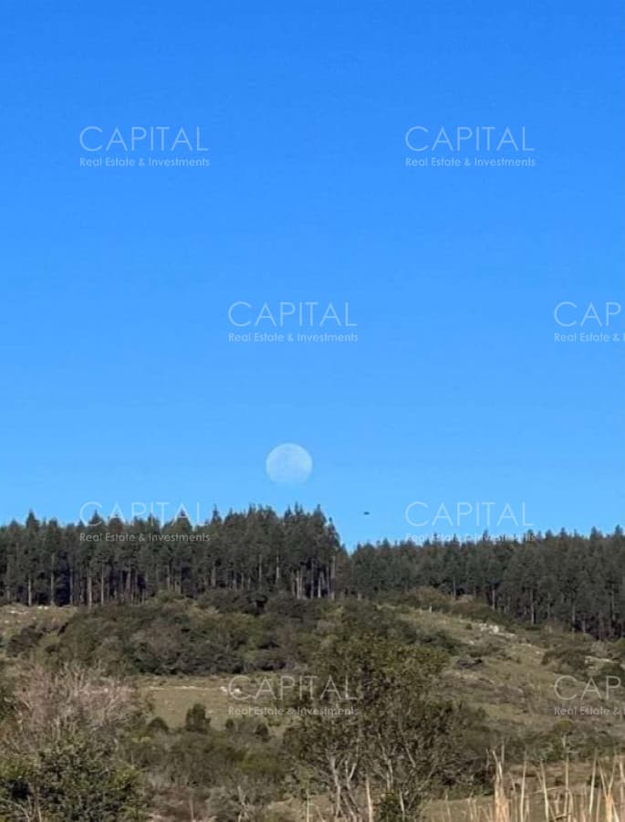 Campo Garzón Ganadero Forestal
