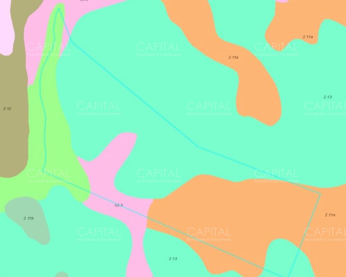 EN EXCLUISVA CAMPO EN VENTA GANADERO con potencial FORESTAL 390 has