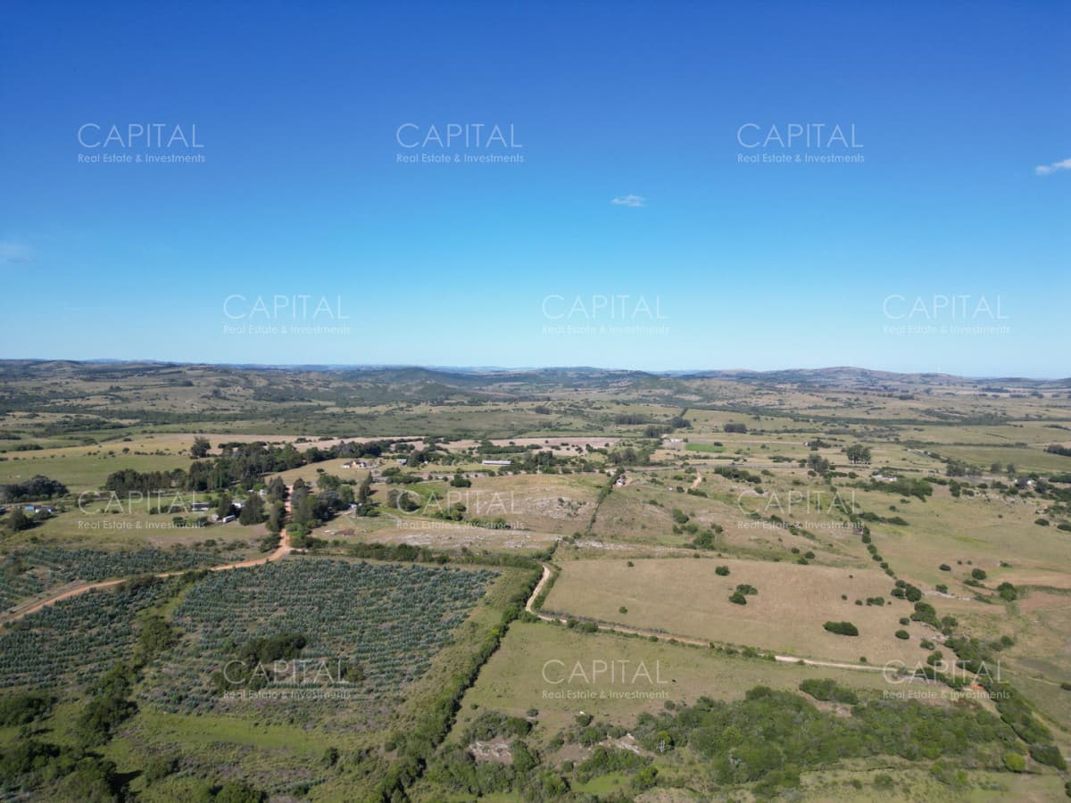 Campo en venta Pueblo Edén 69 has