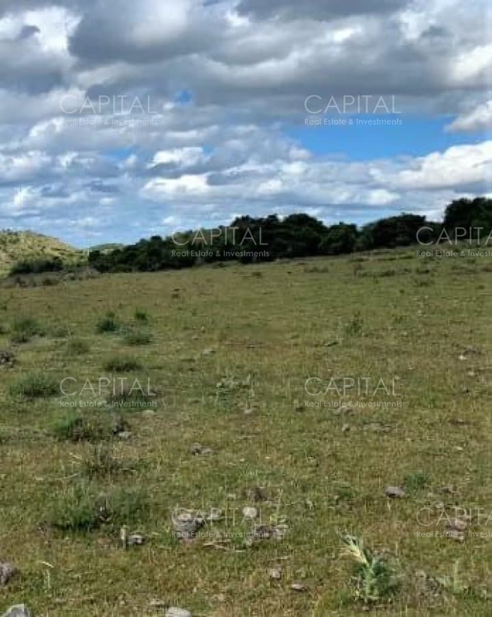 OPOTUNIDAD CAMPO 150 HAS costas del Aiguá