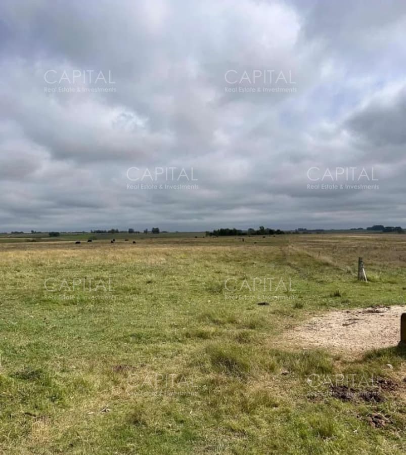 Venta Campo Sarandí Grande Florida