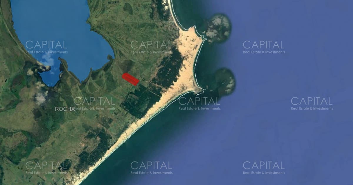 Campo en venta de 60 has en Rocha