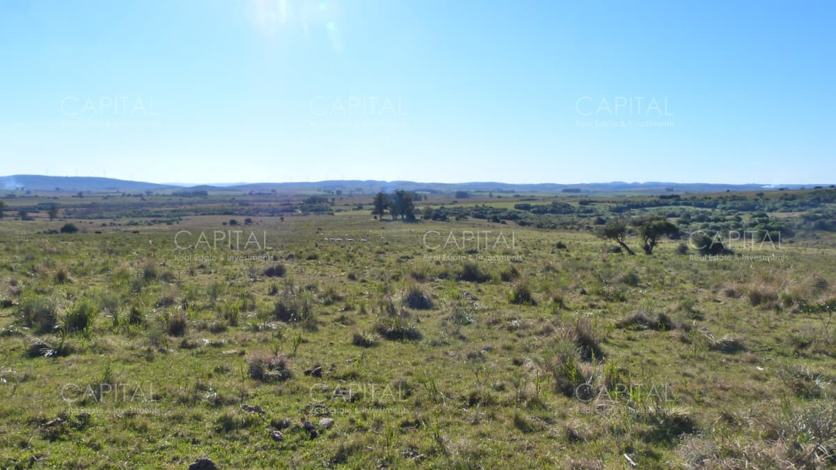 Campo ganadero a 20km de San Carlos
