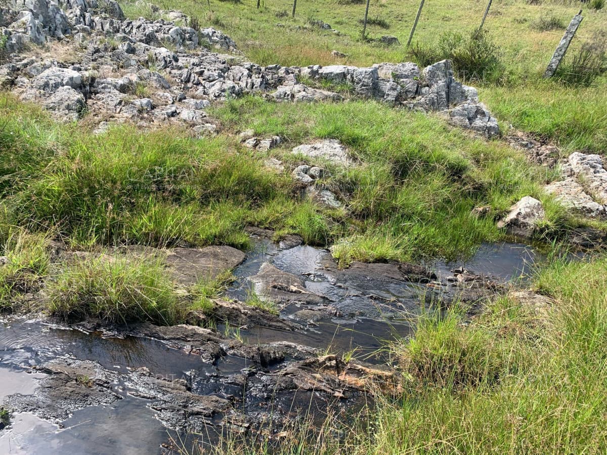 Campo 39 has. próximo a Aiguá