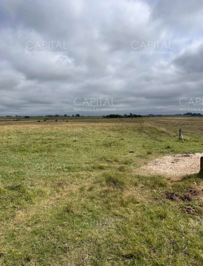 Venta Campo Sarandí Grande Florida
