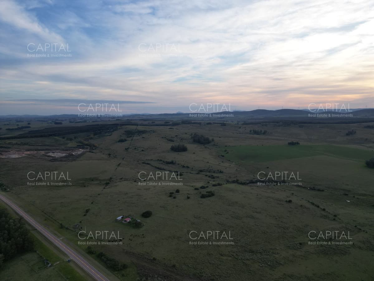 Campo de100 has próximo a San Carlos