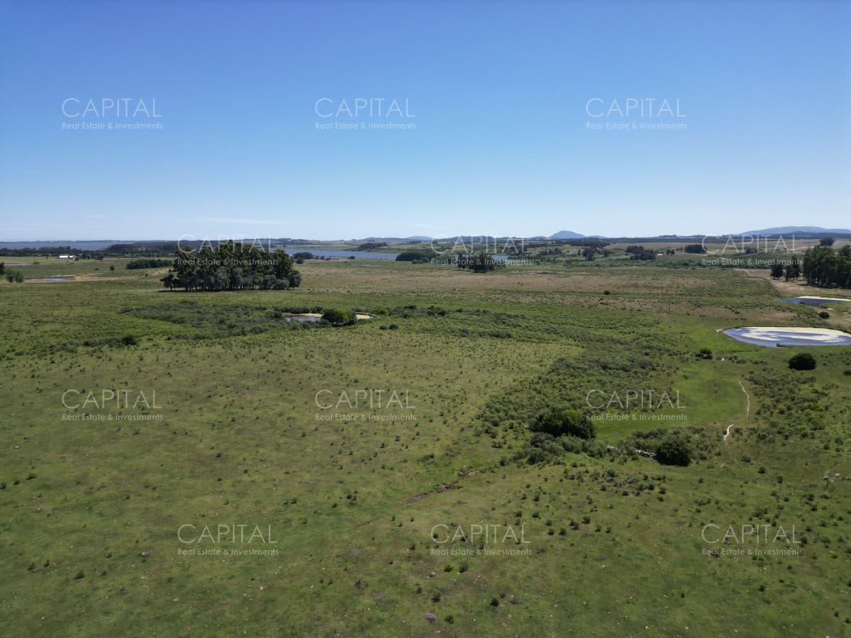 ESPECTACULAR CAMPO DE 124 has . LAGUNA DEL SAUCE