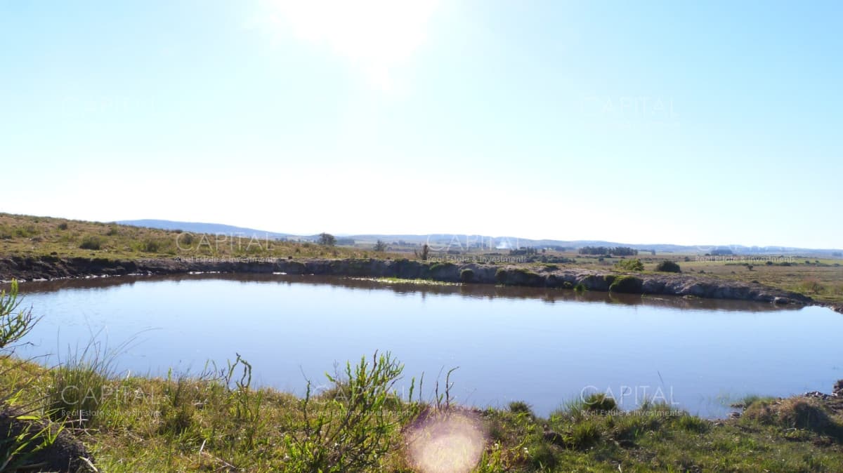 Campo ganadero a 20km de San Carlos